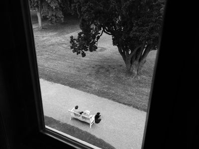 Beautiful green park view through a window