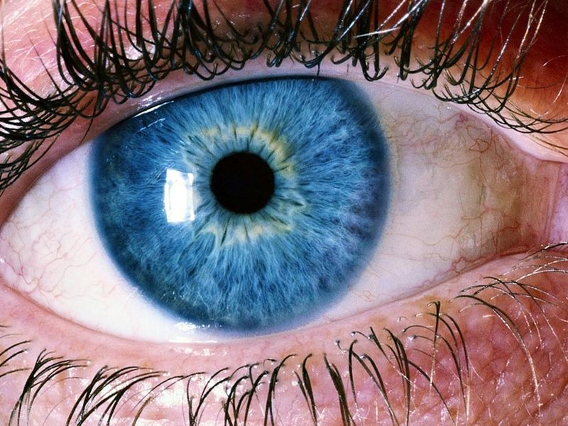 Macro shot of a human eye with blue reflection